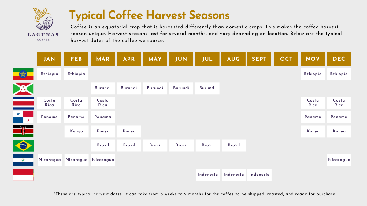 Lagunas Coffee Roasters Denver Co Origins Season Harvest