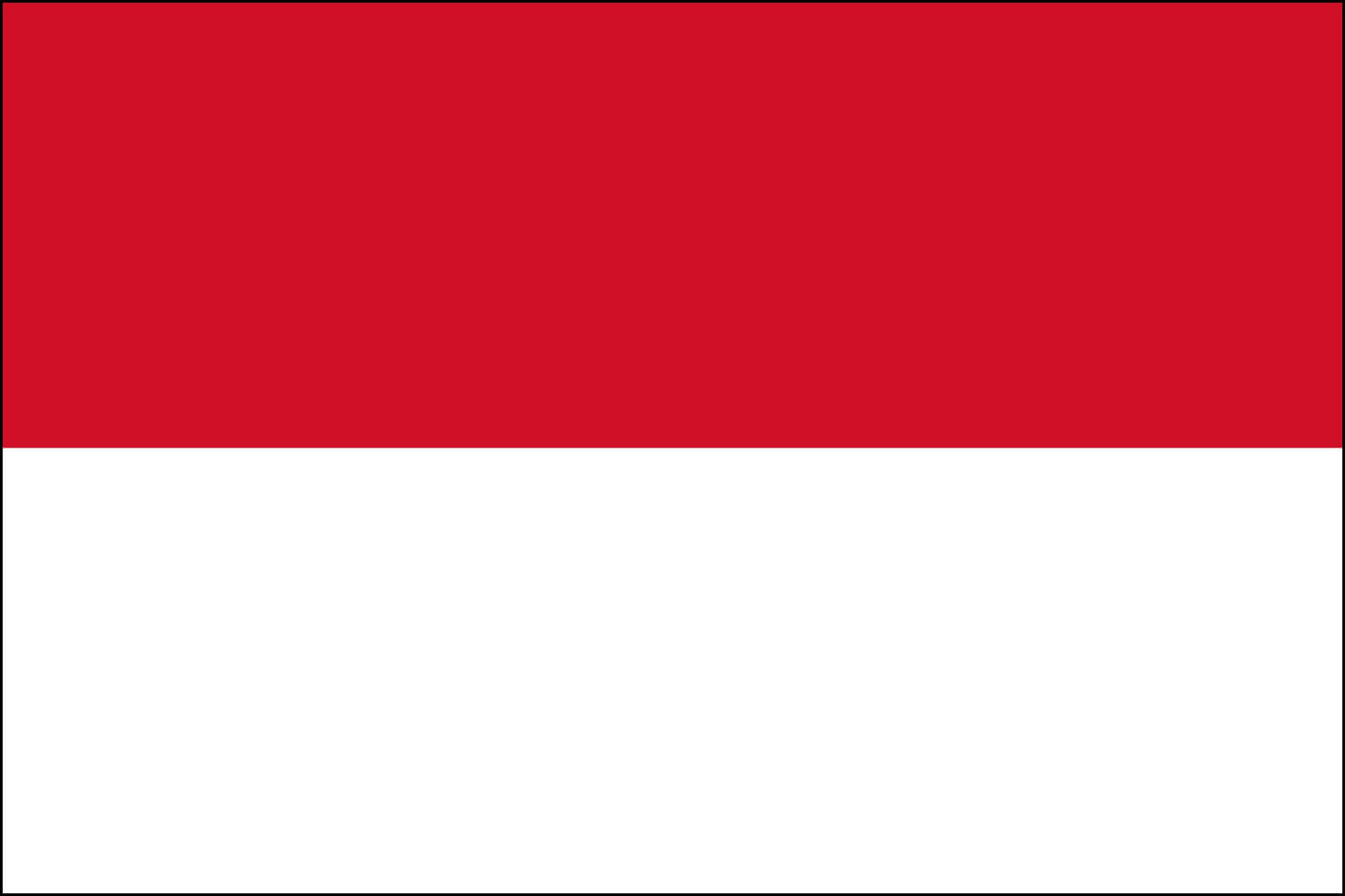 Lagunas Coffee Indonesia Flag