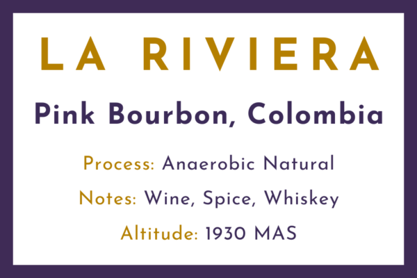 Columbian La Riviera Pink Bourbon - Image 3